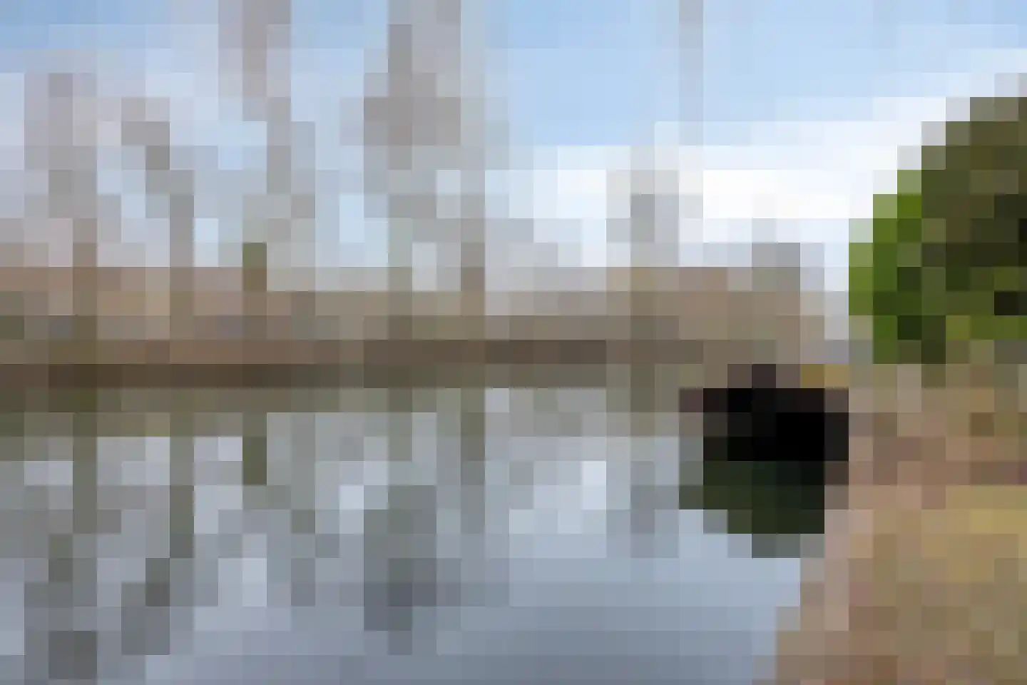 Westbroekse Binnenweg 12 Tienhoven thumbnail 46