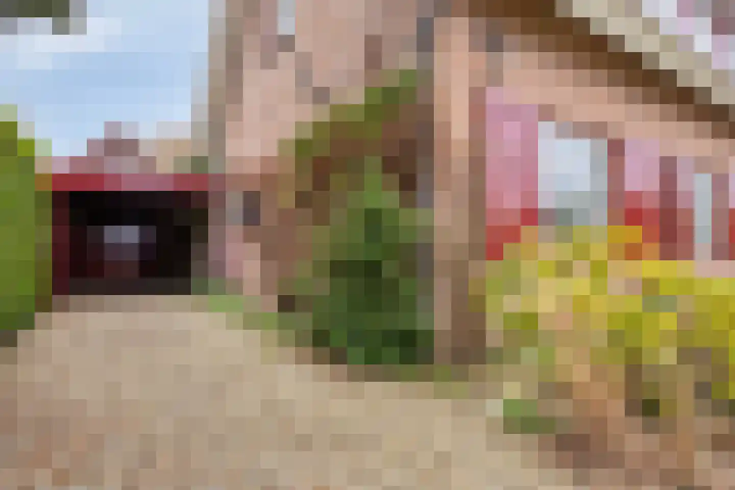 Westbroekse Binnenweg 12 Tienhoven thumbnail 57