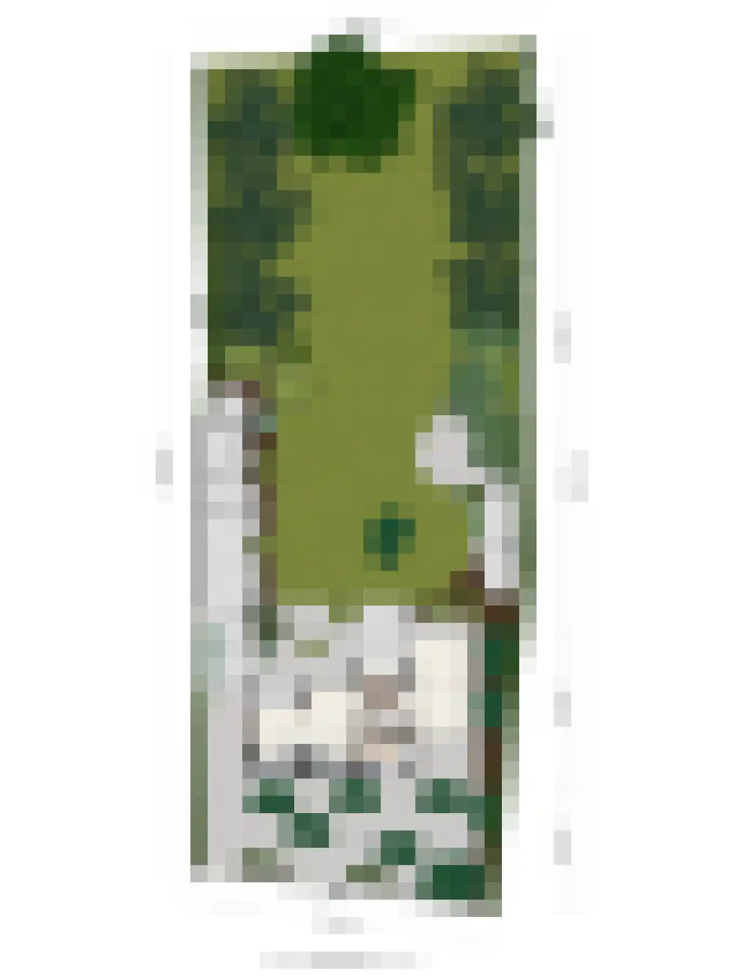 Westbroekse Binnenweg 12 Tienhoven thumbnail 67