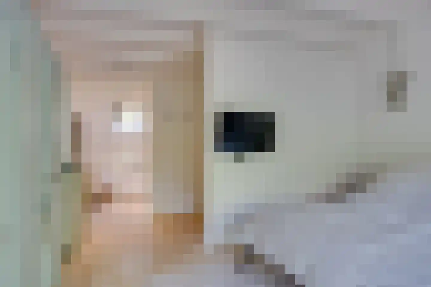 Westbroekse Binnenweg 50 Tienhoven thumbnail 10