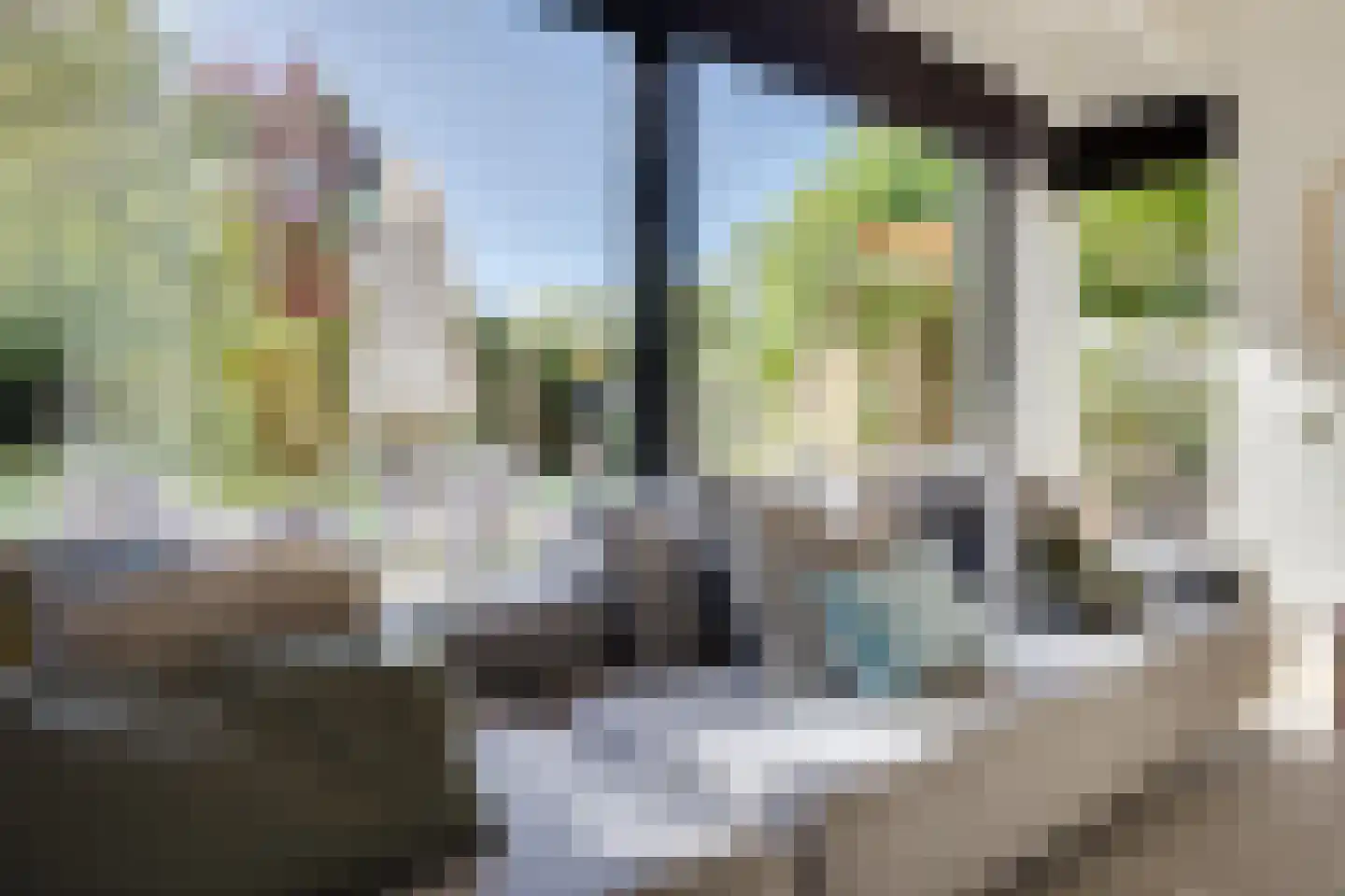 Westbroekse Binnenweg 50 Tienhoven thumbnail 15