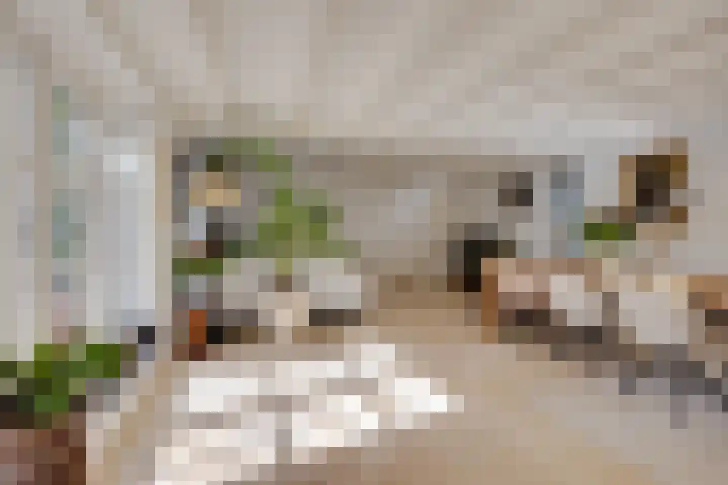 Westbroekse Binnenweg 50 Tienhoven thumbnail 16