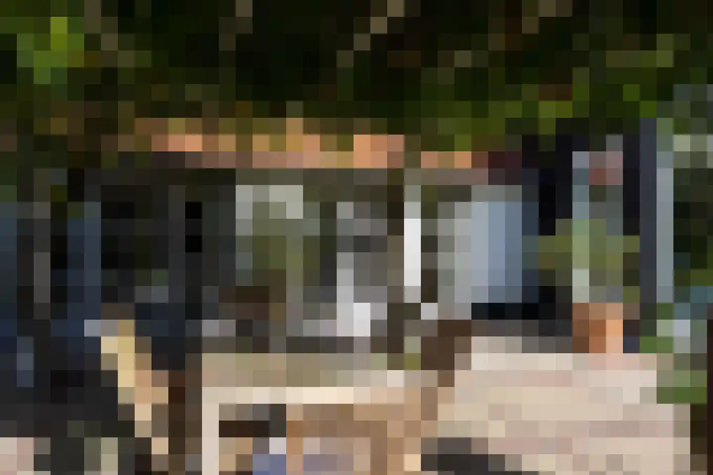 Westbroekse Binnenweg 50 Tienhoven thumbnail 18