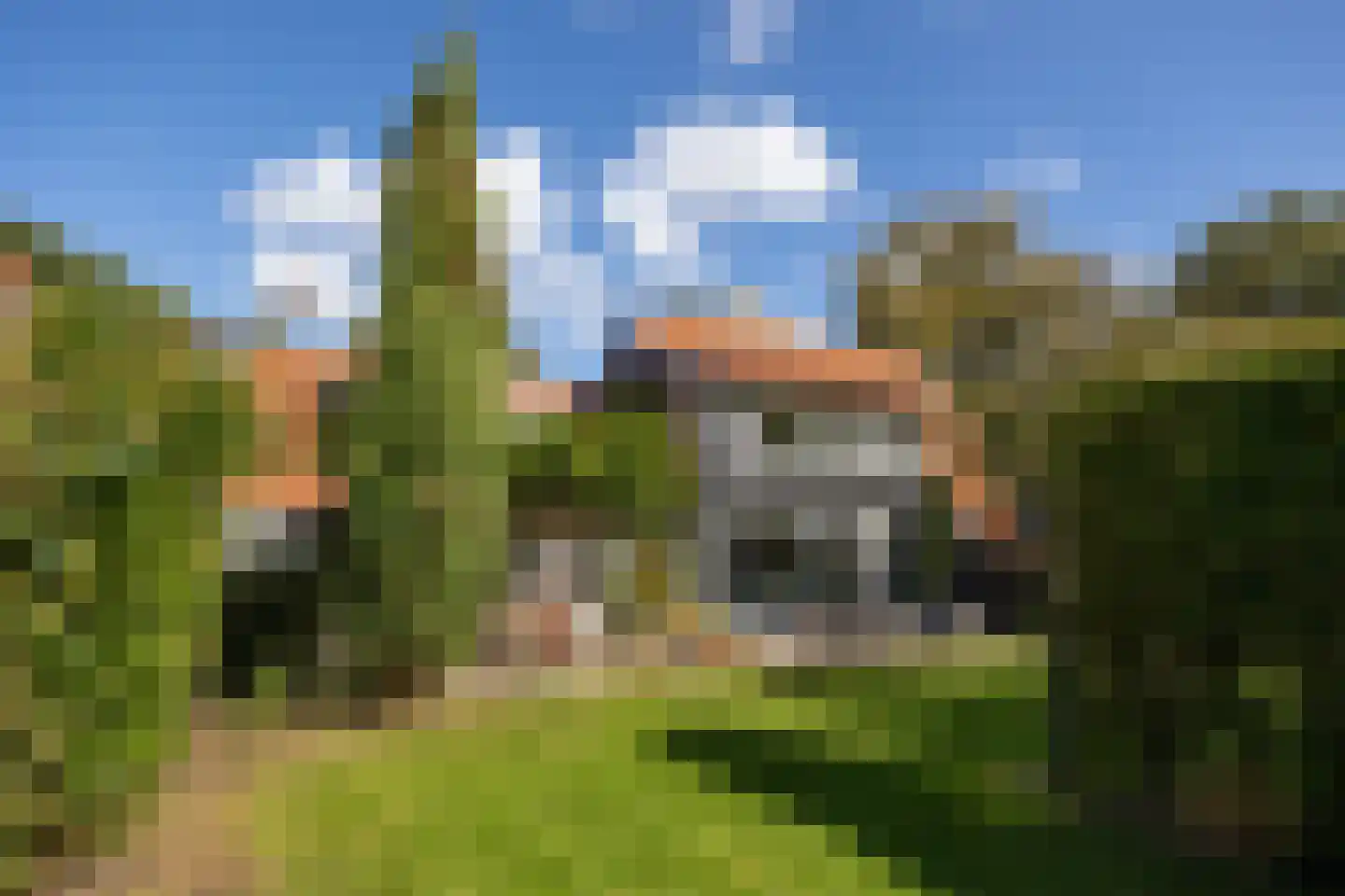 Westbroekse Binnenweg 50 Tienhoven thumbnail 20