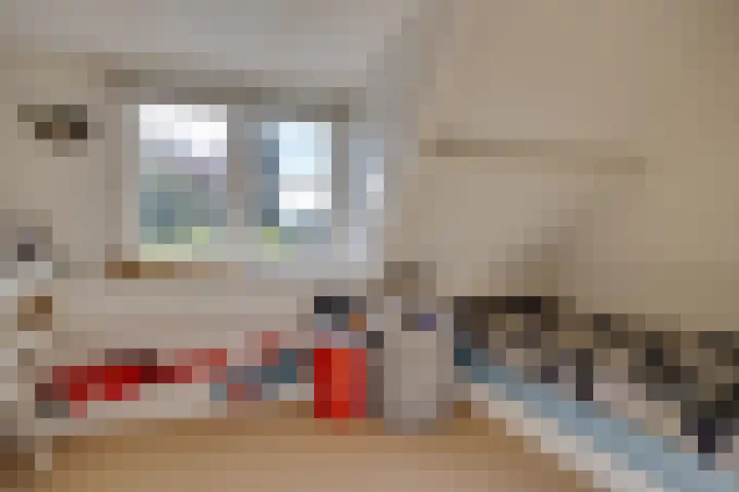 Westbroekse Binnenweg 50 Tienhoven thumbnail 28