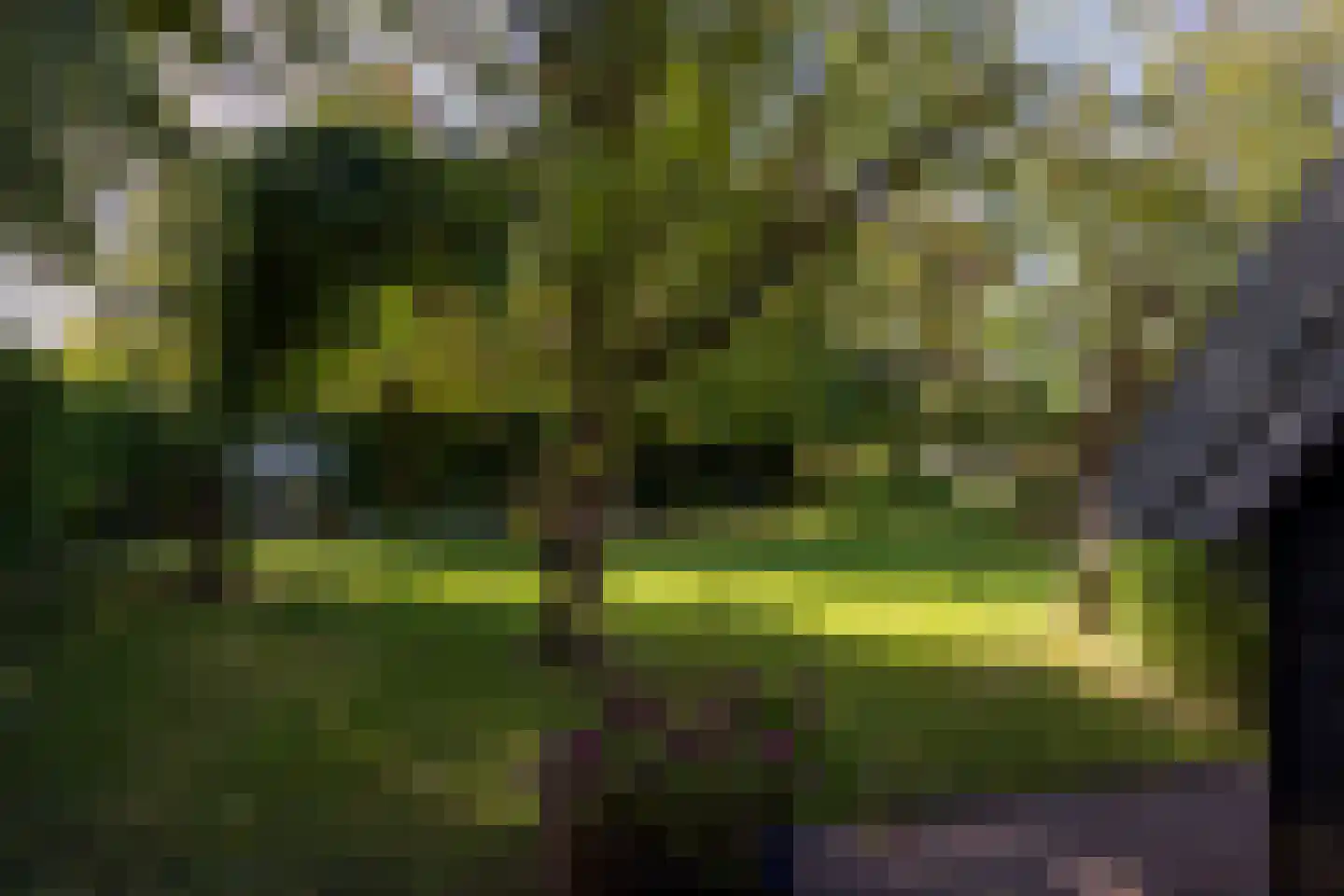 Westbroekse Binnenweg 50 Tienhoven thumbnail 4