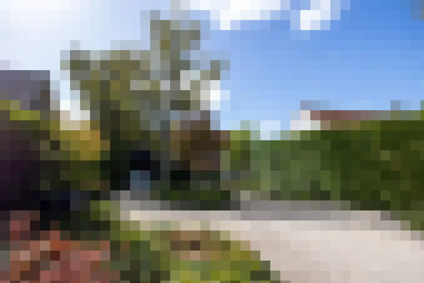 Westbroekse Binnenweg 50 Tienhoven thumbnail 40
