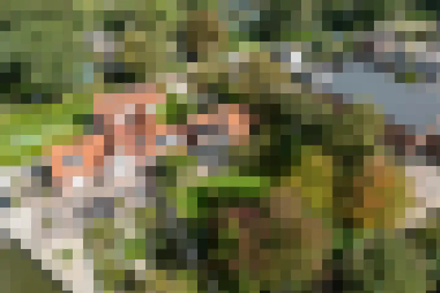 Westbroekse Binnenweg 50 Tienhoven thumbnail 41