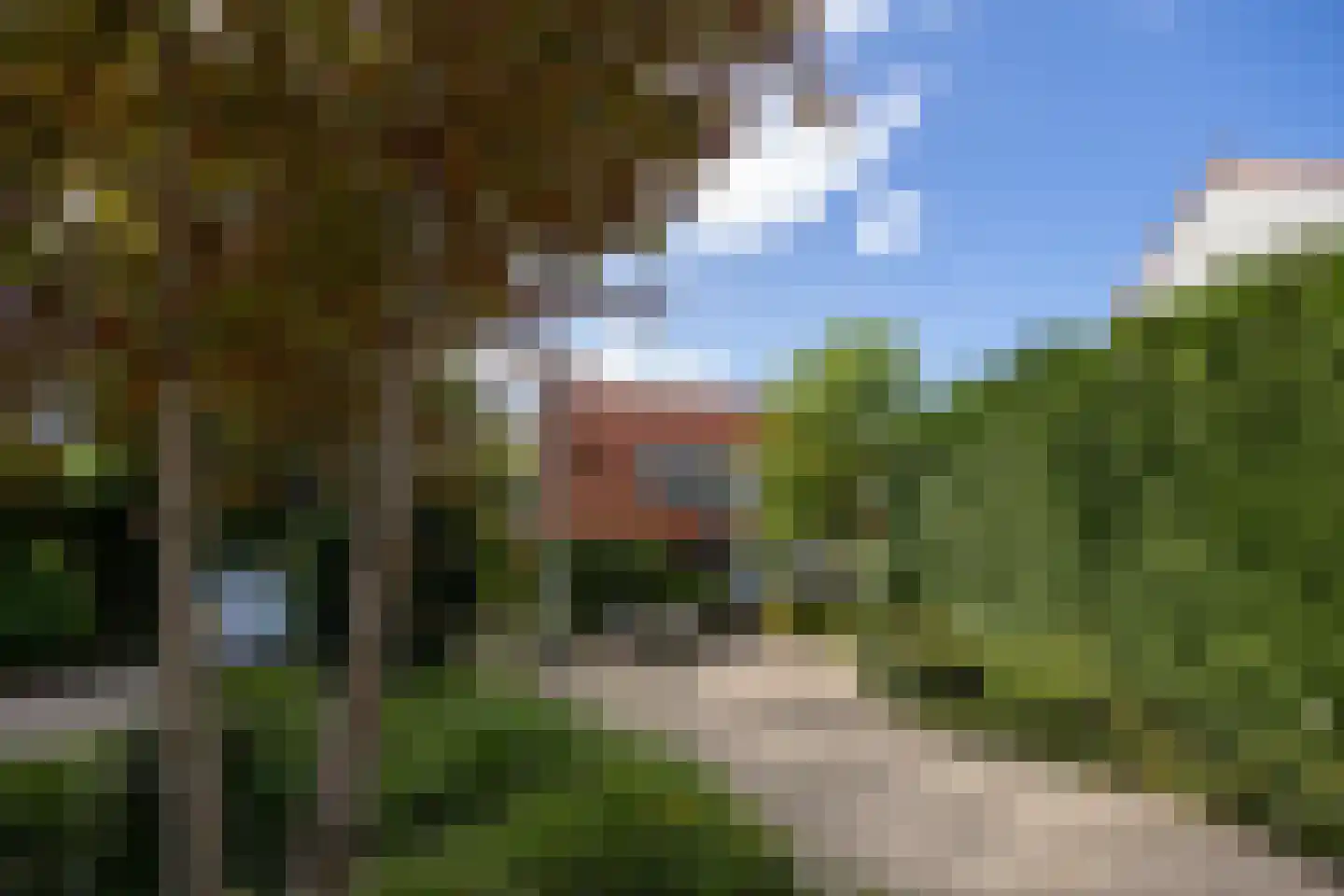 Westbroekse Binnenweg 50 Tienhoven thumbnail 5