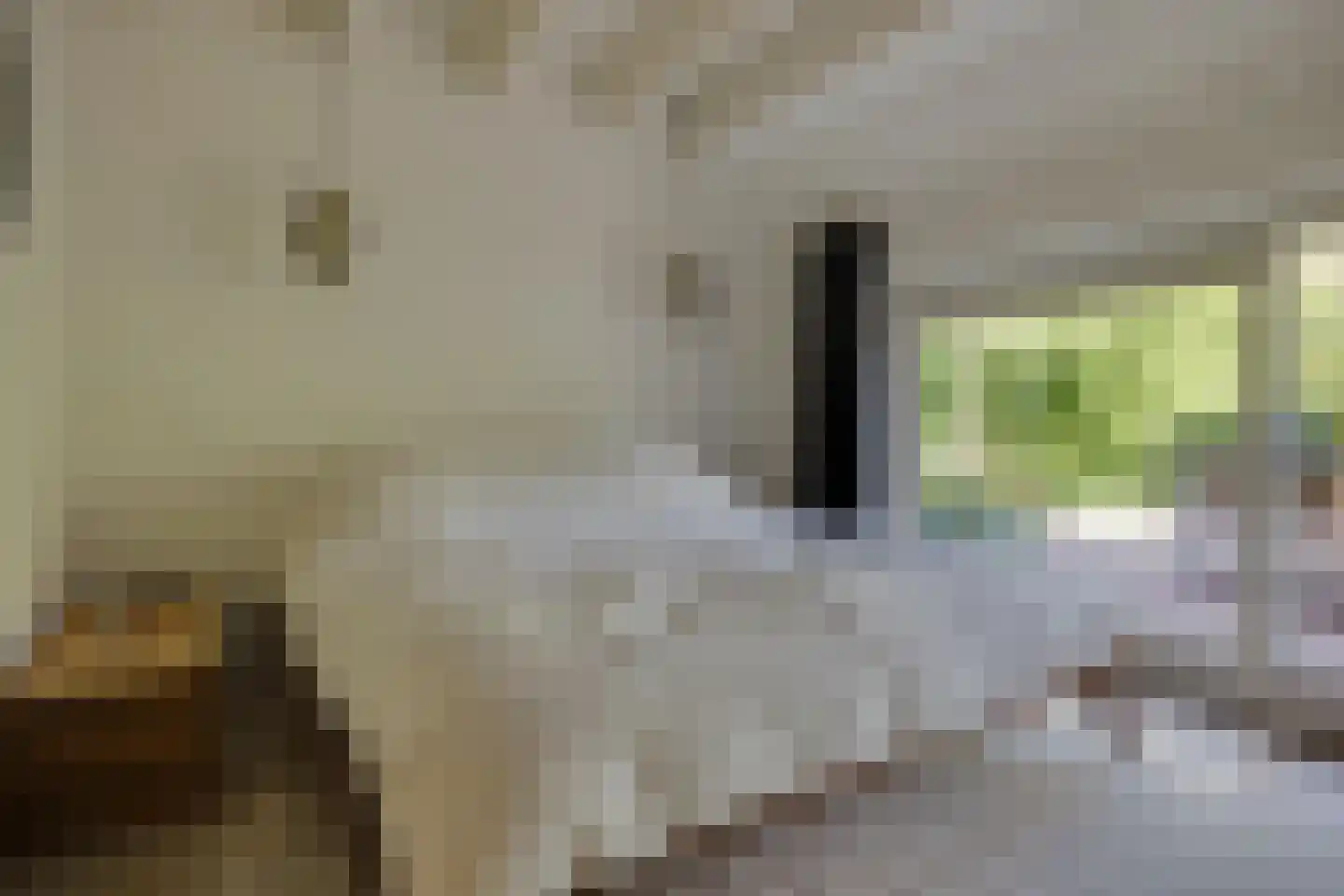 Westbroekse Binnenweg 50 Tienhoven thumbnail 9