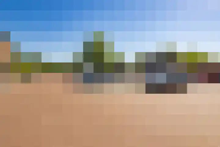 Westbroekse Binnenweg 56 a C40 Tienhoven thumbnail 30