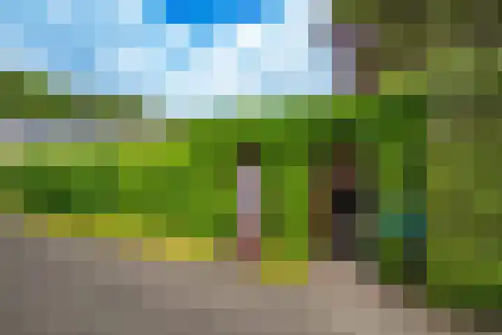 Westbroekse Binnenweg 68 C51 Tienhoven thumbnail 21