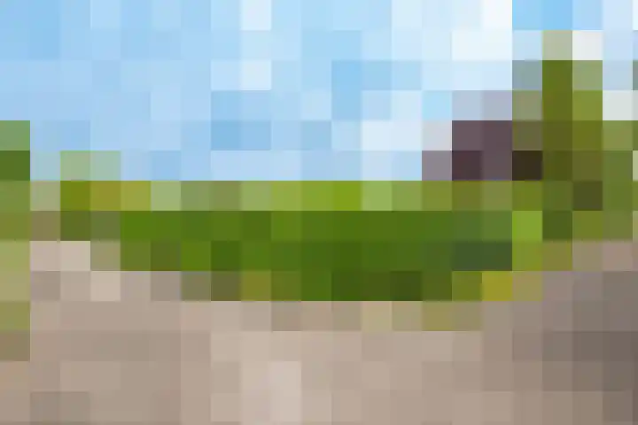 Westbroekse Binnenweg 68 C51 Tienhoven thumbnail 22