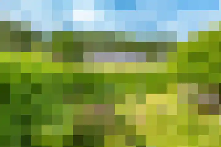 Westbroekse Binnenweg 68 C51 Tienhoven thumbnail 24
