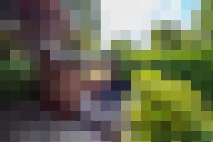 Westbroekse Binnenweg 68 C51 Tienhoven thumbnail 25