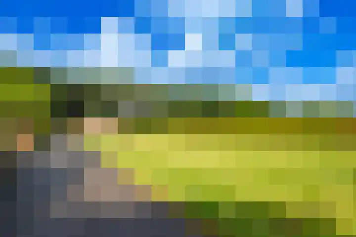 Westbroekse Binnenweg 68 C51 Tienhoven thumbnail 26