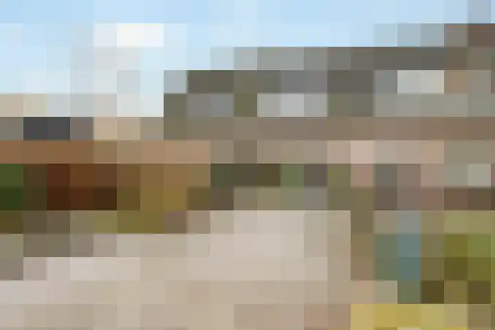 Westbroekse Binnenweg 78 Tienhoven thumbnail 4