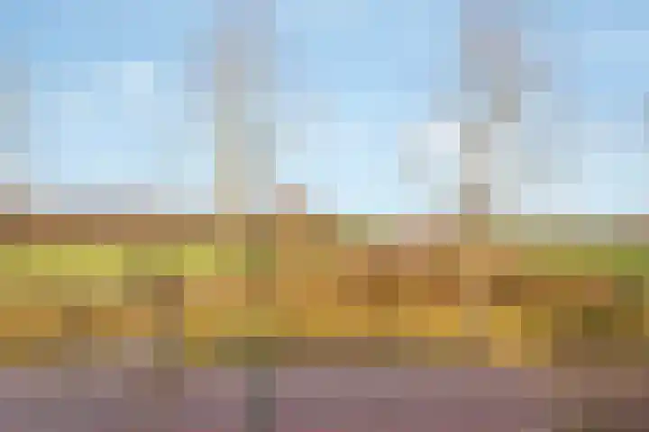 Westbroekse Binnenweg 78 Tienhoven thumbnail 43