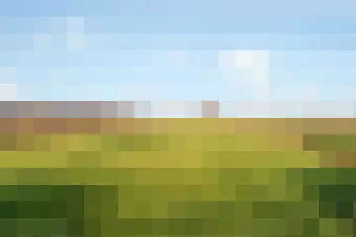 Westbroekse Binnenweg 78 Tienhoven thumbnail 45