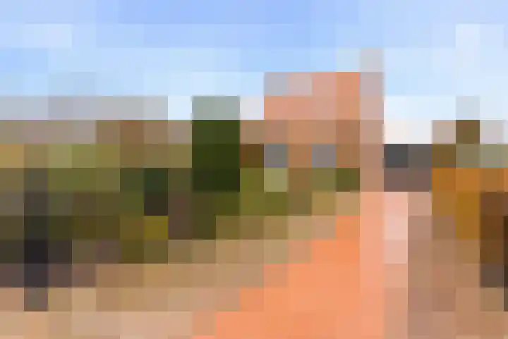 Westbroekse Binnenweg 86 Tienhoven thumbnail 4