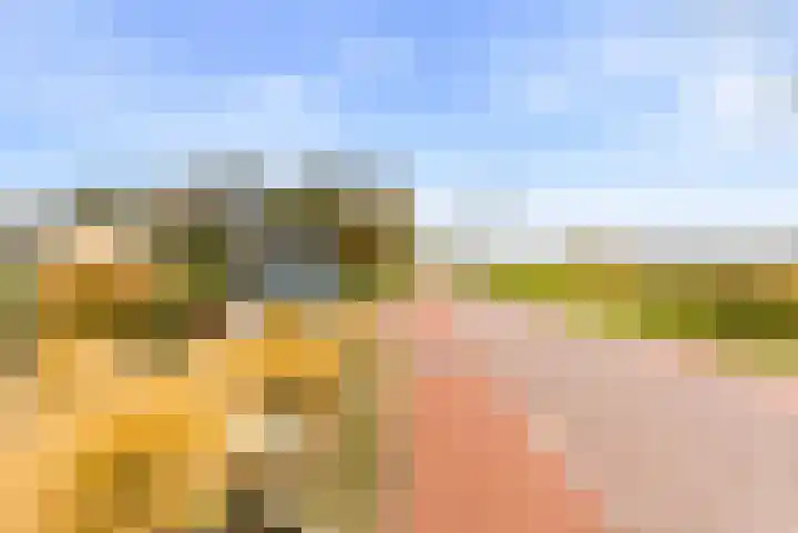 Westbroekse Binnenweg 86 Tienhoven thumbnail 53