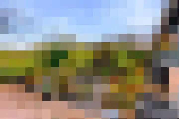 Westbroekse Binnenweg 86 Tienhoven thumbnail 56