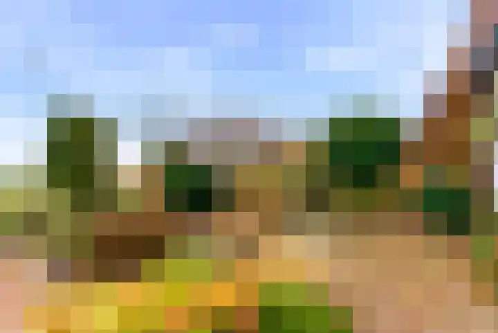 Westbroekse Binnenweg 86 Tienhoven thumbnail 63