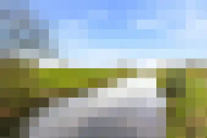 Westbroekse Binnenweg 86 Tienhoven thumbnail 65
