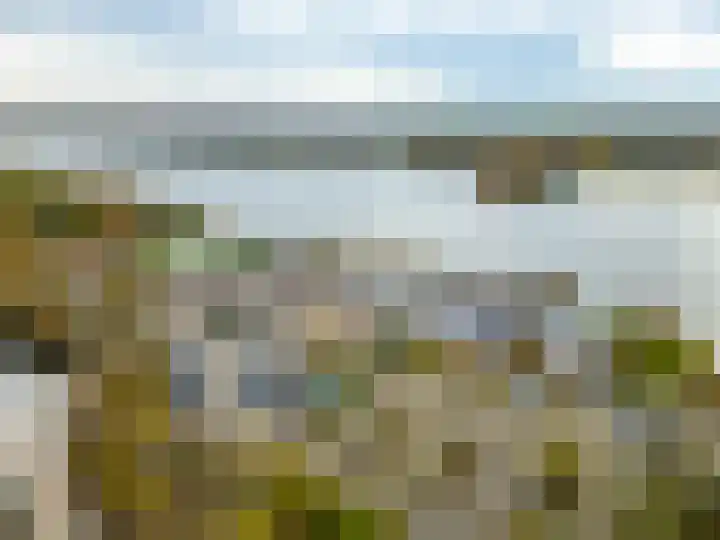 Westbroekse Binnenweg 86 Tienhoven thumbnail 66