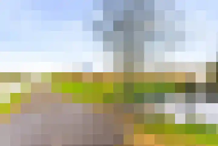 Westbroekse Binnenweg 86 Tienhoven thumbnail 67