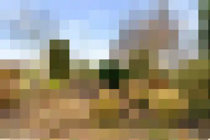 Westbroekse Binnenweg 86 Tienhoven thumbnail 68