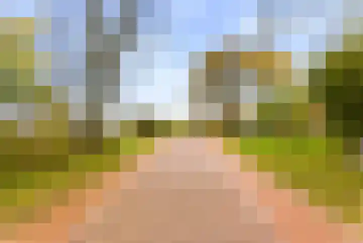 Westbroekse Binnenweg 86 Tienhoven thumbnail 69