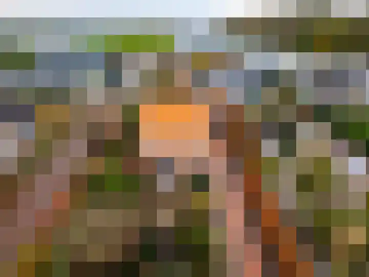 Westbroekse Binnenweg 86 Tienhoven thumbnail 71
