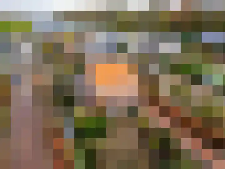 Westbroekse Binnenweg 86 Tienhoven thumbnail 72