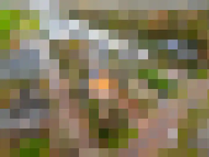 Westbroekse Binnenweg 86 Tienhoven thumbnail 73