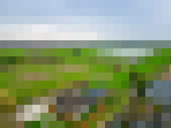 Westbroekse Binnenweg 86 Tienhoven thumbnail 74