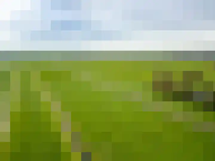 Westbroekse Binnenweg 86 Tienhoven thumbnail 75
