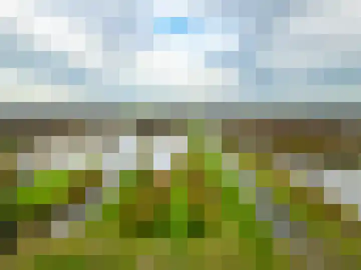 Westbroekse Binnenweg 86 Tienhoven thumbnail 78