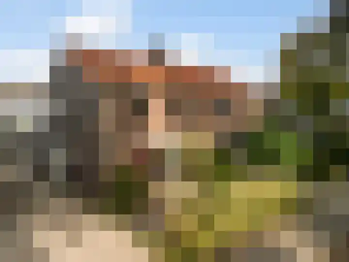 Westbroekse molenweg 14 Westbroek thumbnail 26