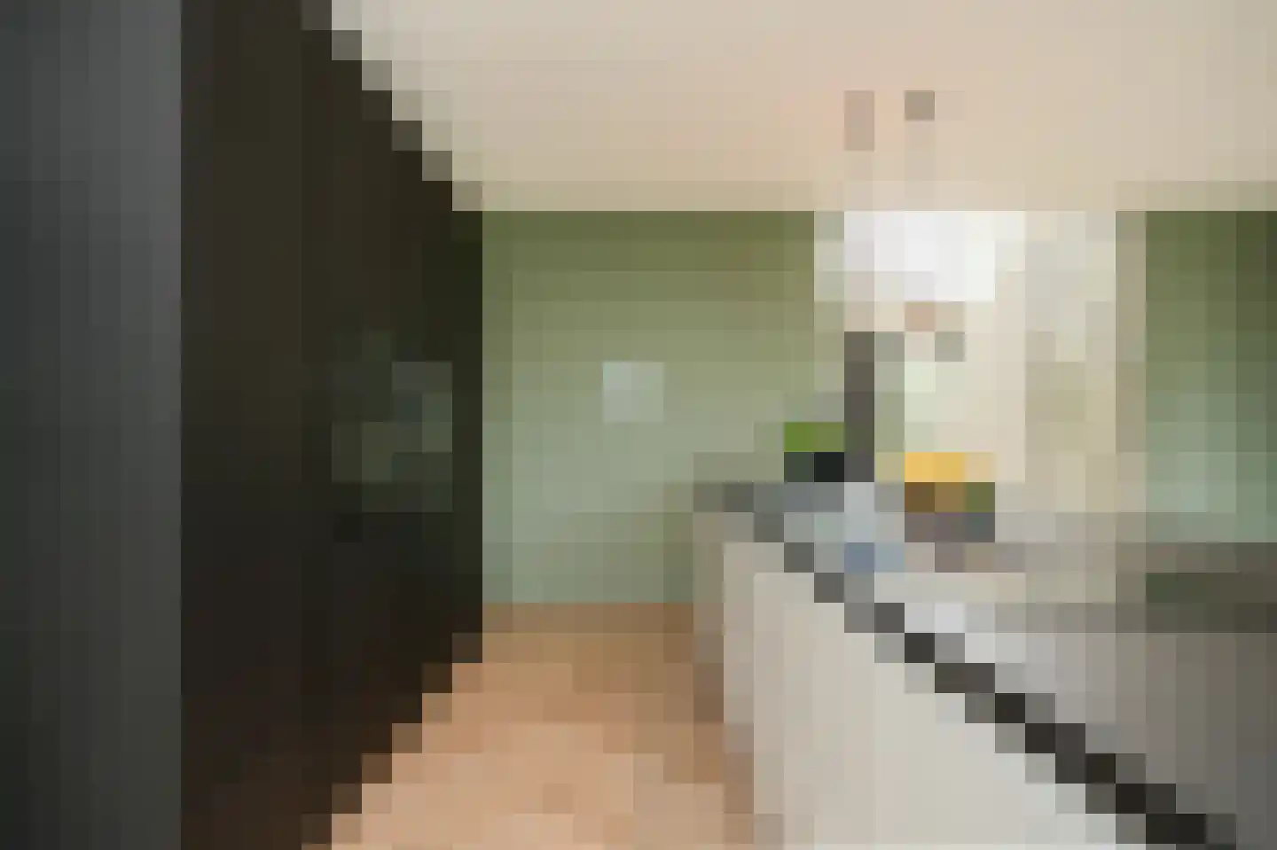 Westcreecke 7 Dinteloord thumbnail 19