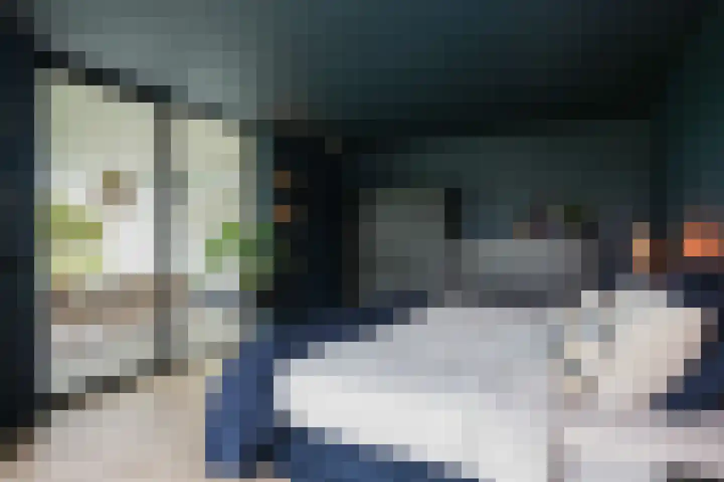 Westcreecke 7 Dinteloord thumbnail 25