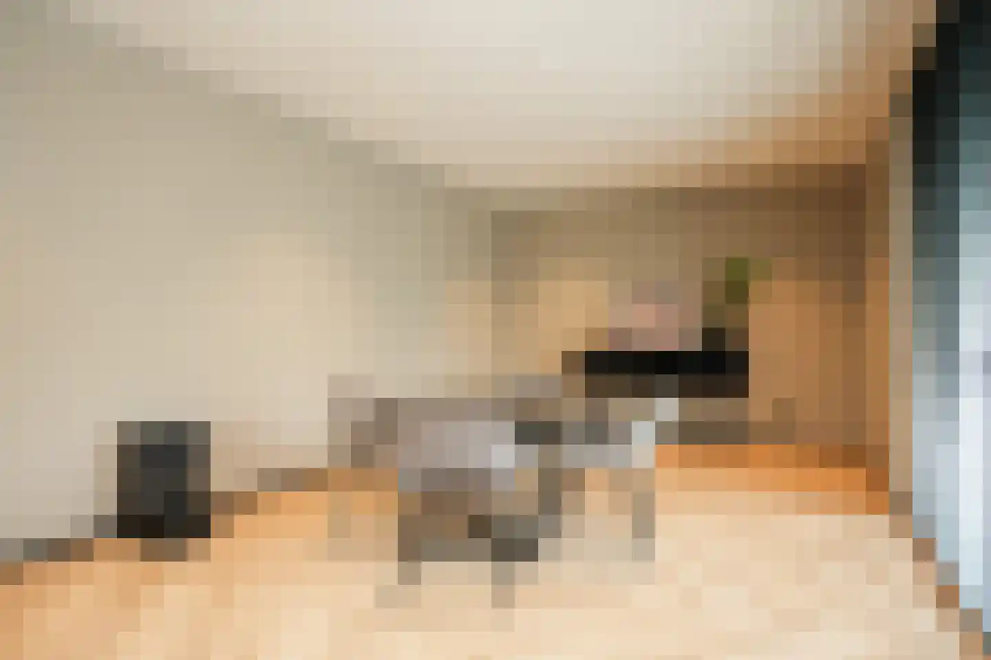 Westcreecke 7 Dinteloord thumbnail 34
