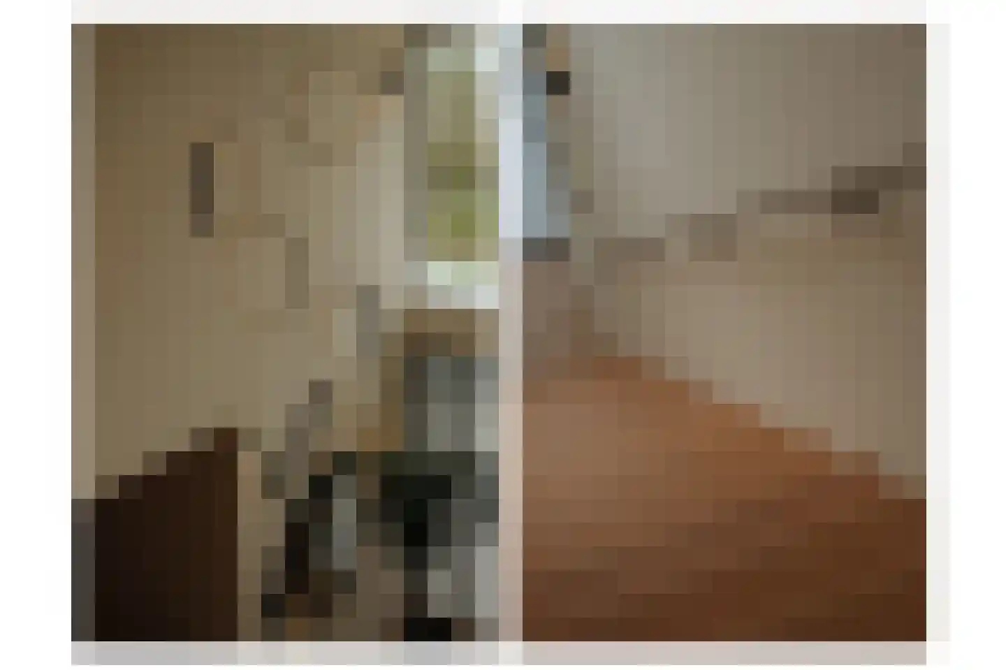 Westcreecke 7 Dinteloord thumbnail 36