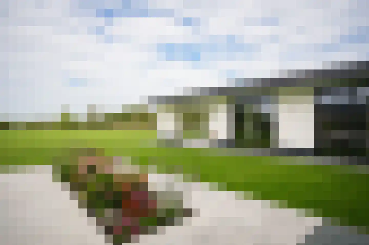 Westcreecke 7 Dinteloord thumbnail 54
