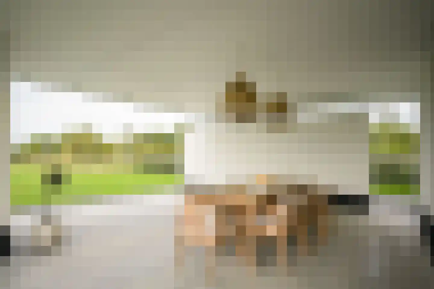 Westcreecke 7 Dinteloord thumbnail 55