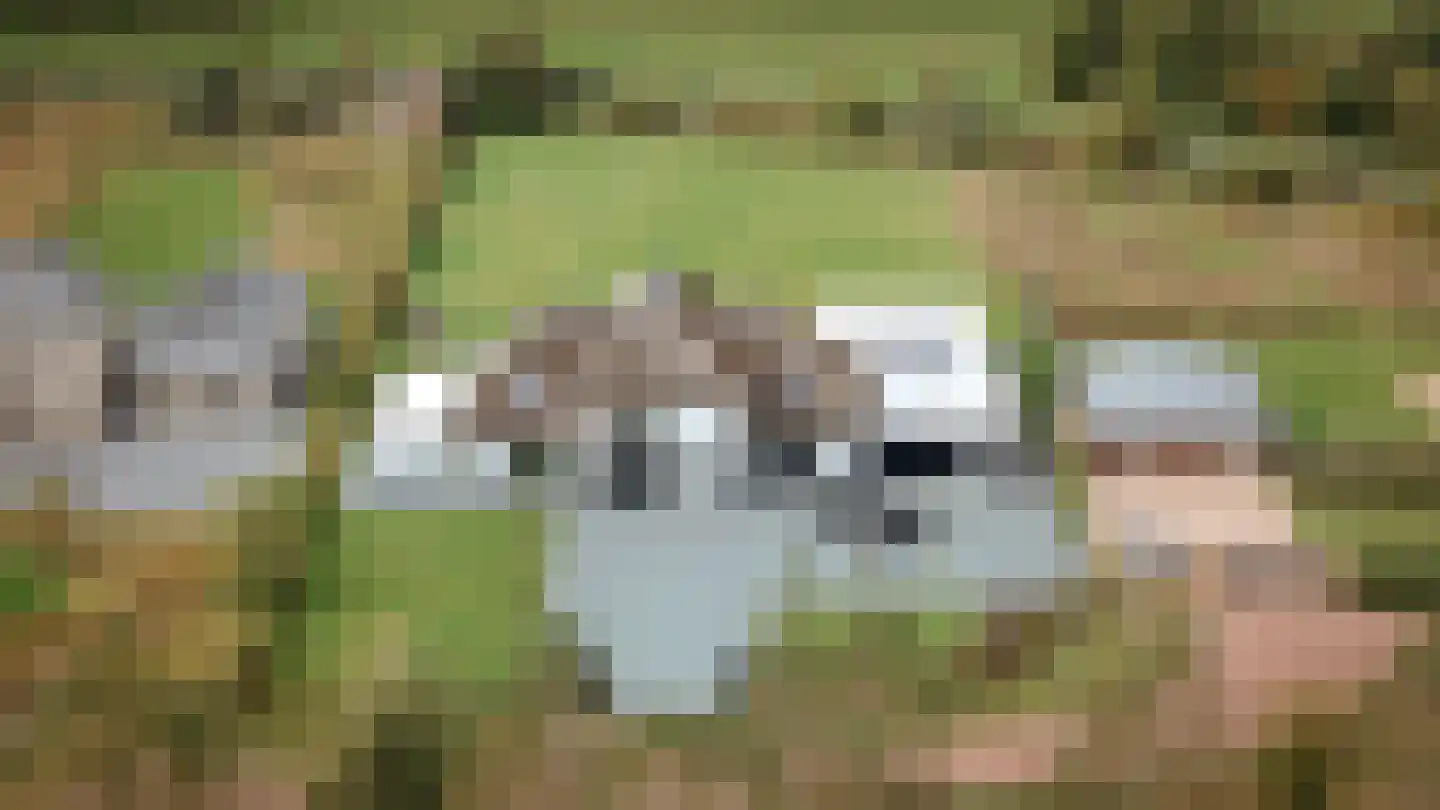 Westcreecke 7 Dinteloord thumbnail 59