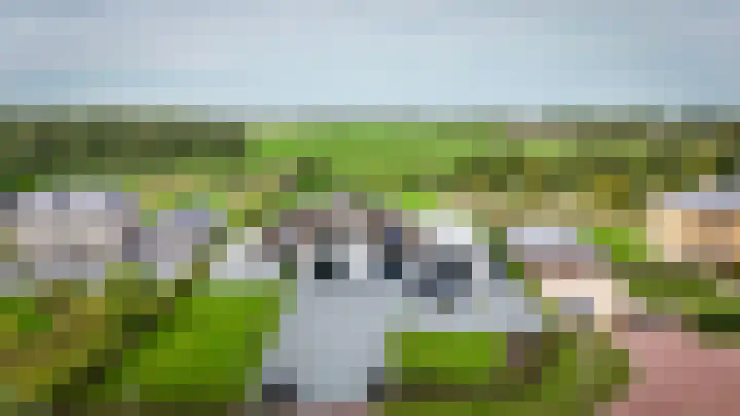 Westcreecke 7 Dinteloord thumbnail 6