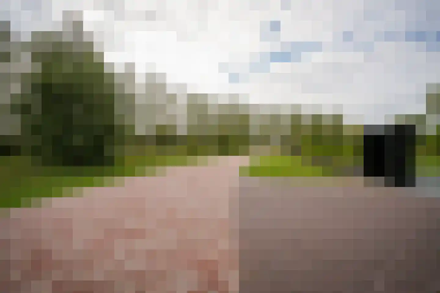 Westcreecke 7 Dinteloord thumbnail 60
