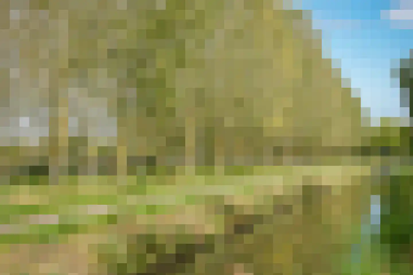 Westcreecke 7 Dinteloord thumbnail 61