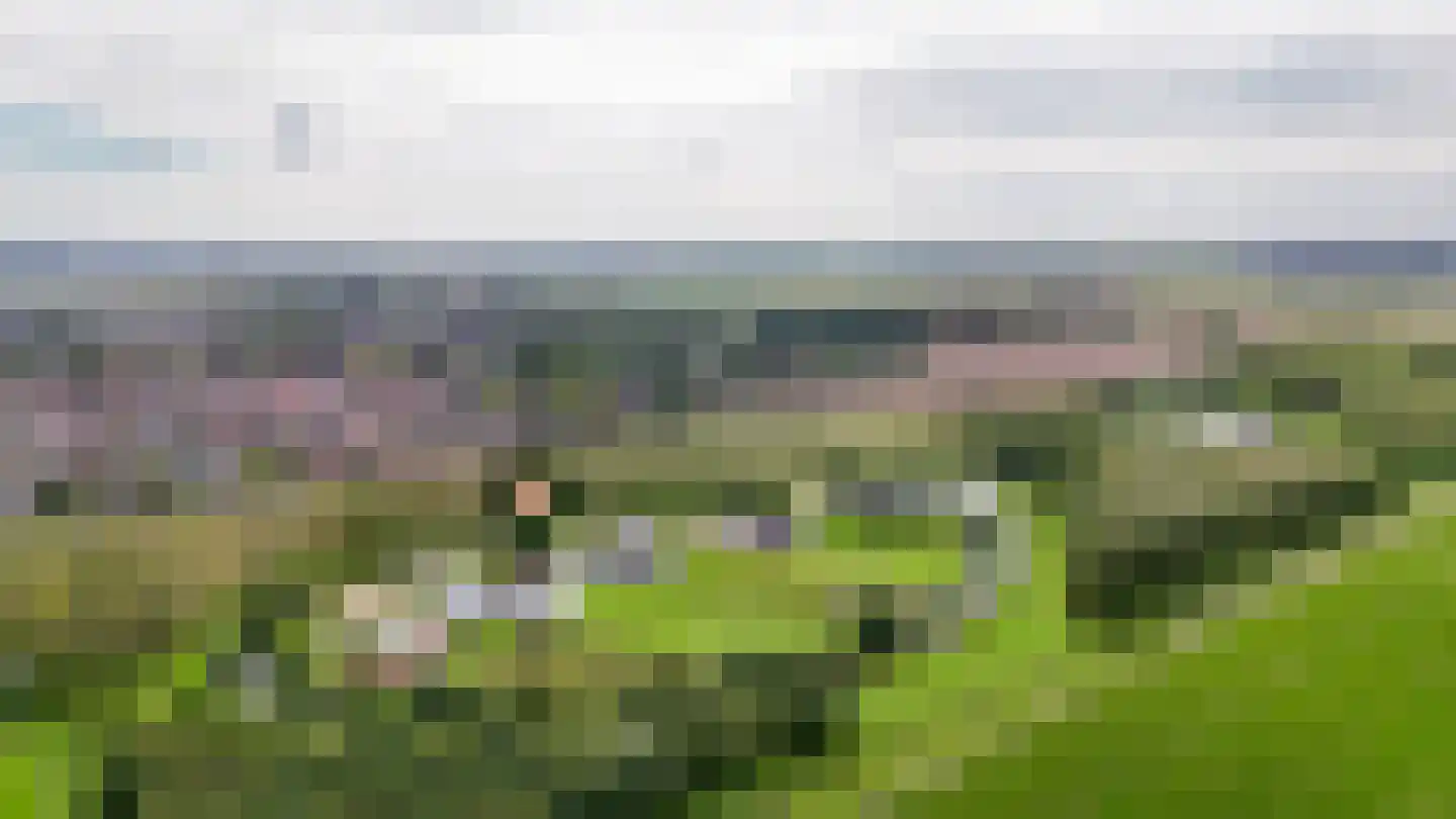 Westcreecke 7 Dinteloord thumbnail 63
